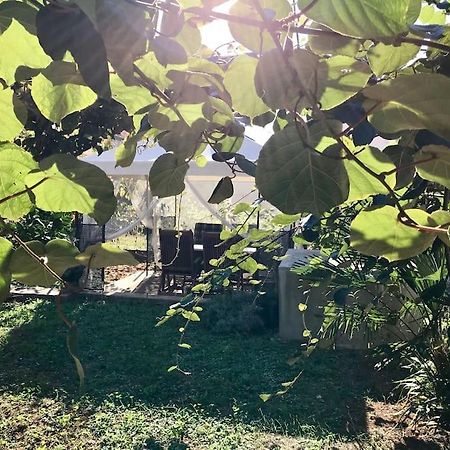 Garden Cozy Apartment Zadar Bagian luar foto