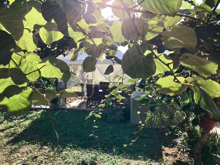 Garden Cozy Apartment Zadar Bagian luar foto